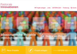 die Startseite von pastorale-innovationen.de