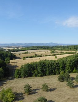 Landschaft bei Gotha/Thüringen